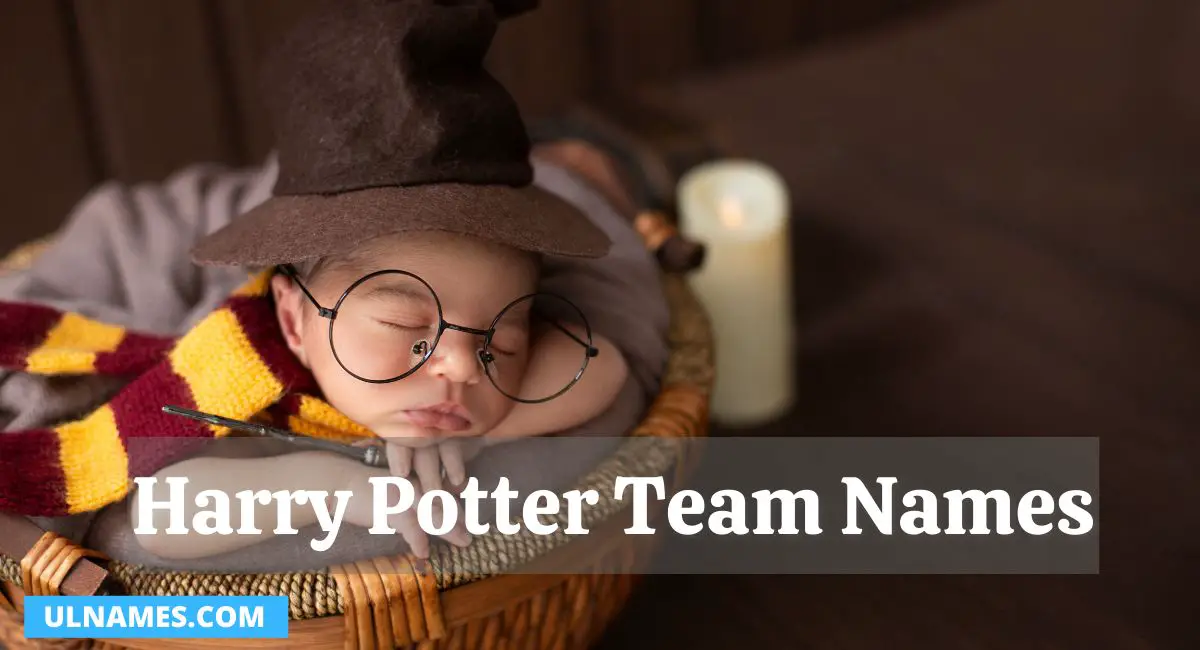 Harry Potter Team Names