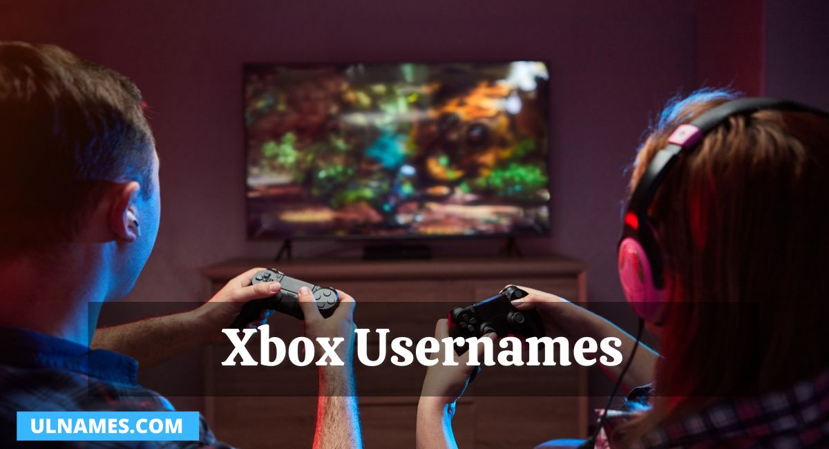 Xbox Usernames